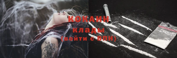 бошки Заводоуковск