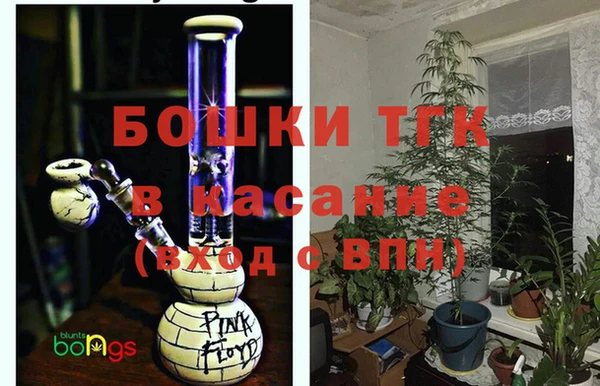 СК Аркадак
