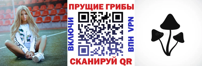блэк спрут ССЫЛКА хочу наркоту Малмыж Псилоцибиновые грибы ЛСД